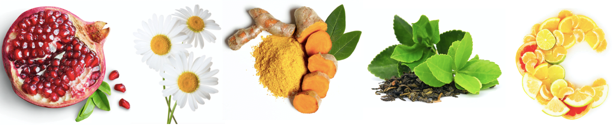 phyto-v-ingredients